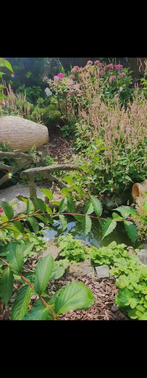 Over te nemen zaak Brussel - Horeca - 2XLCP