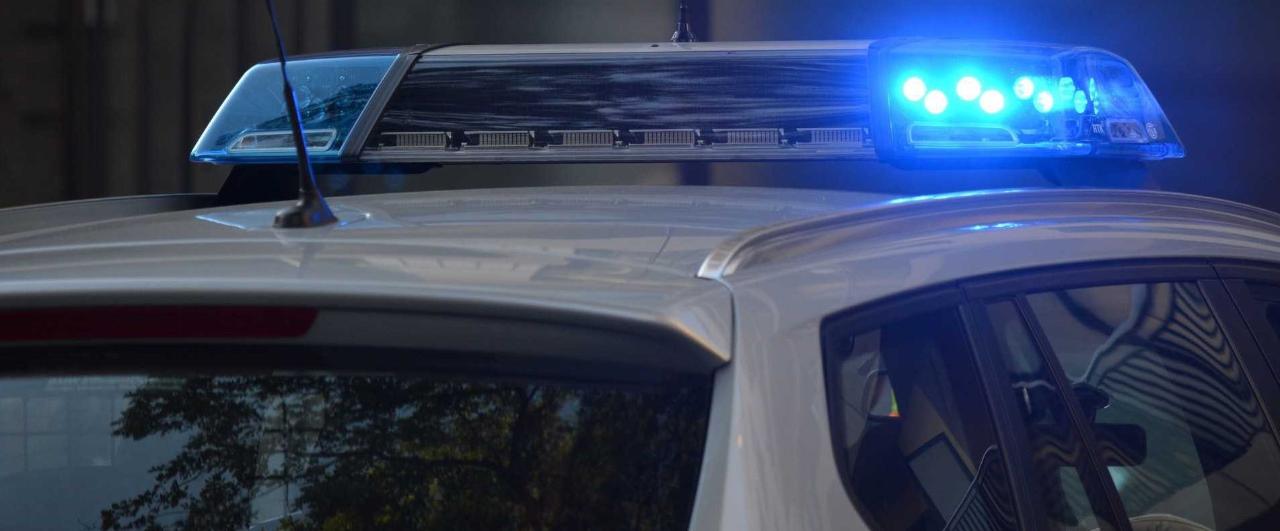 Over te nemen zaak Waals-Brabant - Verkoop & handel - N51XV