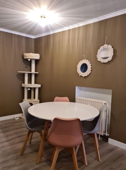 Over te nemen zaak Namen - Horeca - YK5T1