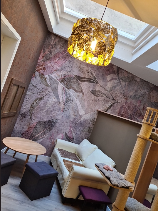 Over te nemen zaak Namen - Horeca - YK5T1